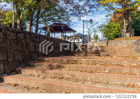 Climb the stairs in the park 122122256