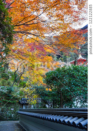 Autumn leaves in the grounds of Chogosonshiji Temple on Mount Shigi 122122885
