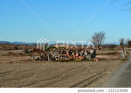 Scenery of logs of firewood drying Scenery of logs of firewood drying 122123090