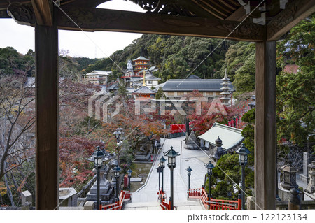 View from the main hall of Chogosonshiji Temple on Mount Shigi 122123134