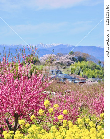 春天正是百花盛開！油菜花和桃花映襯下的福島美景 122123560