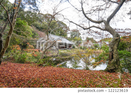 Joruriji Temple Main Hall (Amida Hall) 122123619
