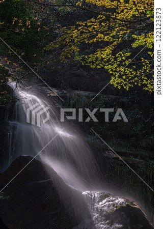 Spring in the Yakushima Offshore Alps (March) Environmental and ecological image 122123873