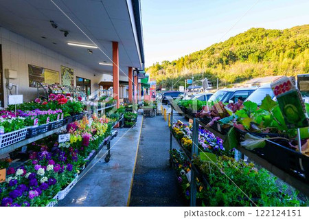 Flowers and flower seeds, product shelves, Nankan local products center, Ikiikimura (Nankan town) 122124151