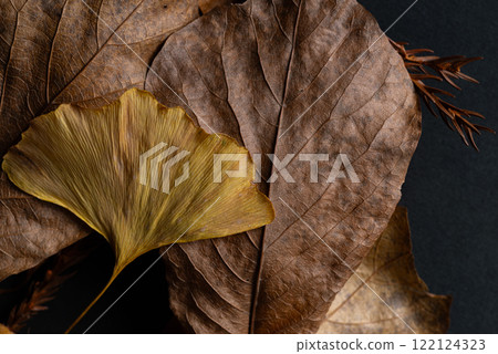 下落的葉子特寫鏡頭 下落的葉子特寫鏡頭 122124323