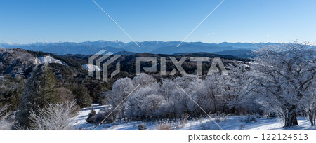 南阿爾卑斯山的冰凍樹木和雪山 122124513