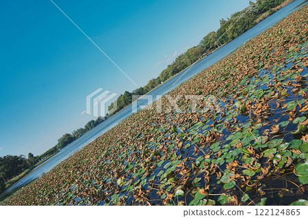 Early summer riverside with blue sky 122124865
