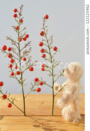 Red nandina berries and teddy bear 122125462