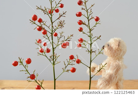 Red nandina berries and teddy bear 122125463