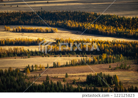 Scenic autumn landscape with forest and meadows in golden hues 122125823