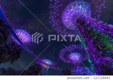 Enchanting Night View of Garden by the bay Illuminated Urban Gardens 122126681