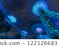 Stunning Night View of Colorful Luminescent Trees at Garden by the bay 122126683