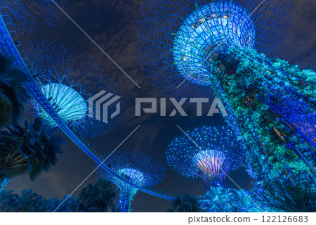 Stunning Night View of Colorful Luminescent Trees at Garden by the bay 122126683