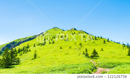夏季登山希雅山、貓山（希雅山、貓山） 122126736