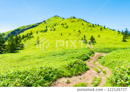 Summer climbing at Mt. Azuma and Mt. Nekodake (Mt. Azuma to Mt. Nekodake) 122126737