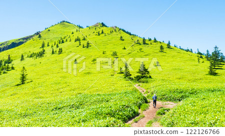 夏季登山希雅山、貓山(希雅山、貓山) 夏季登山希雅山、貓山(希雅山、貓山) 122126766