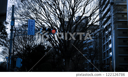 Early morning at Omiya Hikawa Shrine, red traffic light 122126786