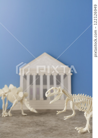Museum and dinosaur fossils Museum and dinosaur fossils 122126949