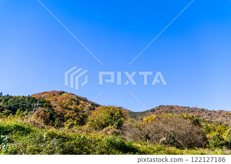從山間小徑看到的景色 從山間小徑看到的景色 122127186