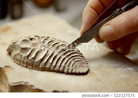 A hand is using pliers to cut off a fossilized trilobite. generative ai 122127575