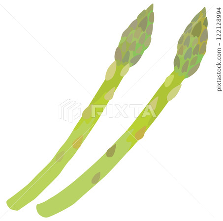 Asparagus vegetable vector material 122128994