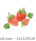 Strawberry illustration hand-drawn watercolor style 122129130
