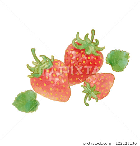 Strawberry illustration hand-drawn watercolor style 122129130