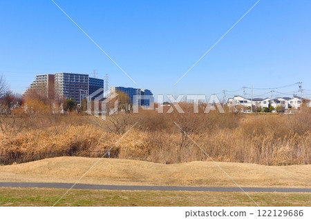 千葉縣流山市大濠川防災池週邊 2025 年 1 月 千葉縣流山市大濠川防災池週邊 2025 年 1 月 122129686