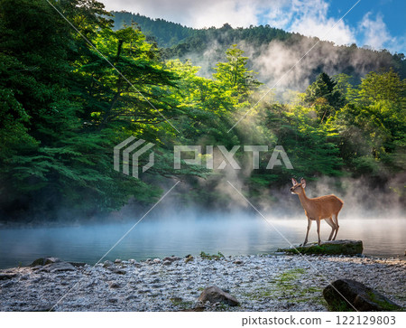 Natural hot springs deep in the mountains 122129803