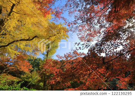 清水山藍天上色彩繽紛的秋葉景色 清水山藍天上色彩繽紛的秋葉景色 122130295
