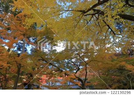 清水寺本坊庭園美麗的秋葉覆蓋天空 122130296
