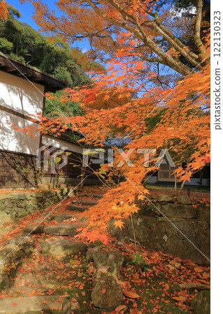 清水寺本坊庭園的石階上灑滿落葉的景色 122130323