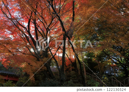 透過樹木的陽光照射下的清水山美麗的秋葉風景 122130324
