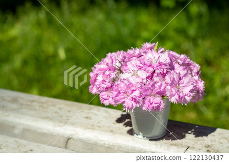 A bouquet of delicate pink carnations in a white bucket on a blurred background of nature. Place for an inscription. Selective focus. A bouquet of delicate pink carnations in a white bucket on a blurred background of nature. Place for an inscription. Selective focus. 122130437