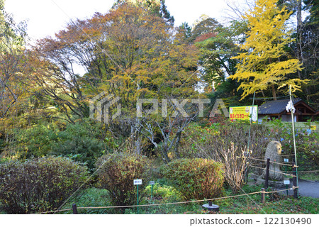 鳥之子山神神社 #16 122130490
