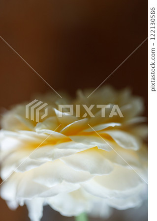 Closeup of Yellow beautiful blooming rose in glass vase on wooden table. Closeup of Yellow beautiful blooming rose in glass vase on wooden table. 122130586