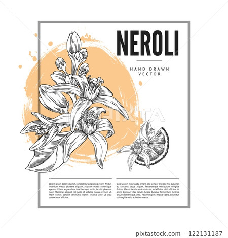 Vector illustration of poster featuring black and white sketch of neroli flowers and fruit slice. 122131187