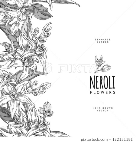 Vector seamless border with neroli flowers, made in the style of black and white sketch Vector seamless border with neroli flowers, made in the style of black and white sketch 122131191