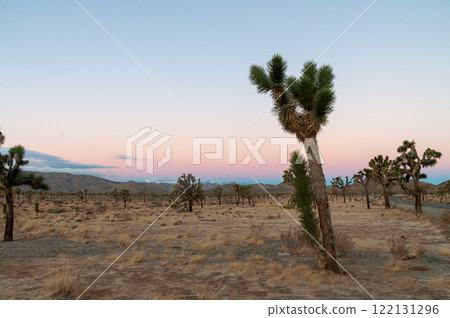 Sunrise in Joshua Tree Sunrise in Joshua Tree 122131296
