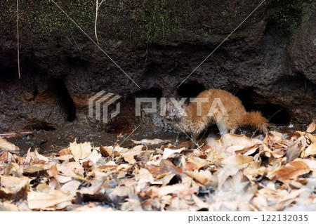 Itachi Itachi 122132035