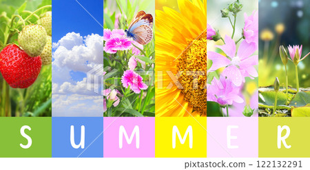 Season of year. Summer horizontal nature banner with flowers, butterfly, sky, strawberry. Nature collage with seasonal scenes. Copy space for text Season of year. Summer horizontal nature banner with flowers, butterfly, sky, strawberry. Nature collage with seasonal scenes. Copy space for text 122132291
