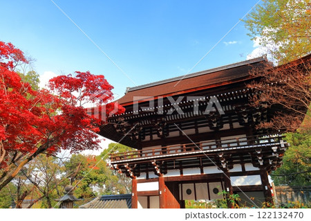 [京都府]松尾大社塔門與秋葉 122132470