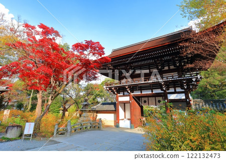 [Kyoto Prefecture] Matsuo Taisha Shrine's tower gate and autumn leaves 122132473