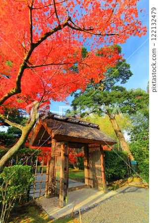 [京都府] 晴天桂離宮的紅葉（五行門） 122132479