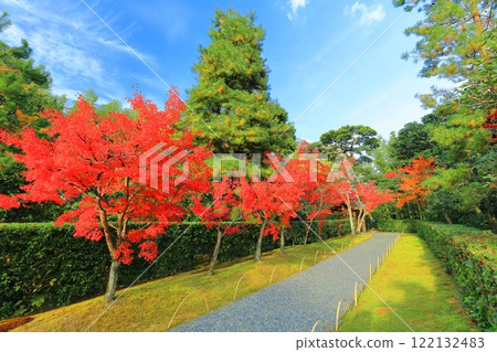 [京都府] 晴天桂離宮的紅葉 122132483