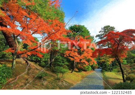 [Kyoto Prefecture] Autumn leaves at Katsura Imperial Villa on a clear day 122132485