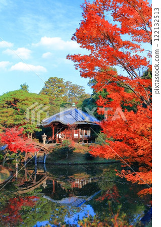 [京都府]對稱的桂離宮庭園和秋葉 122132513