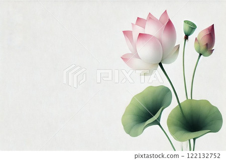 Lotus flower  Lotus flower  122132752