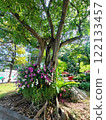 Overseas park 122133457