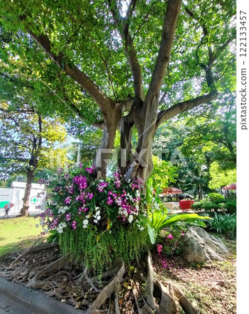 海外公園 122133457